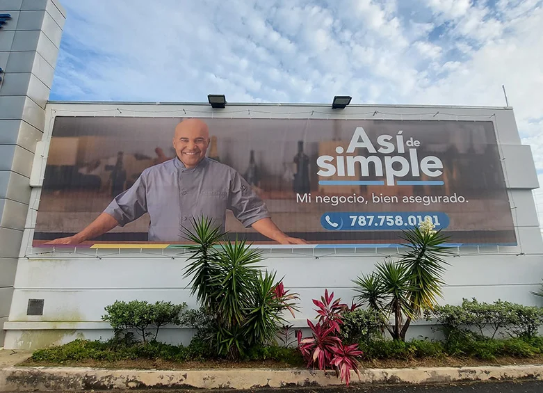 Rotulación e impresión - DiSignXpress